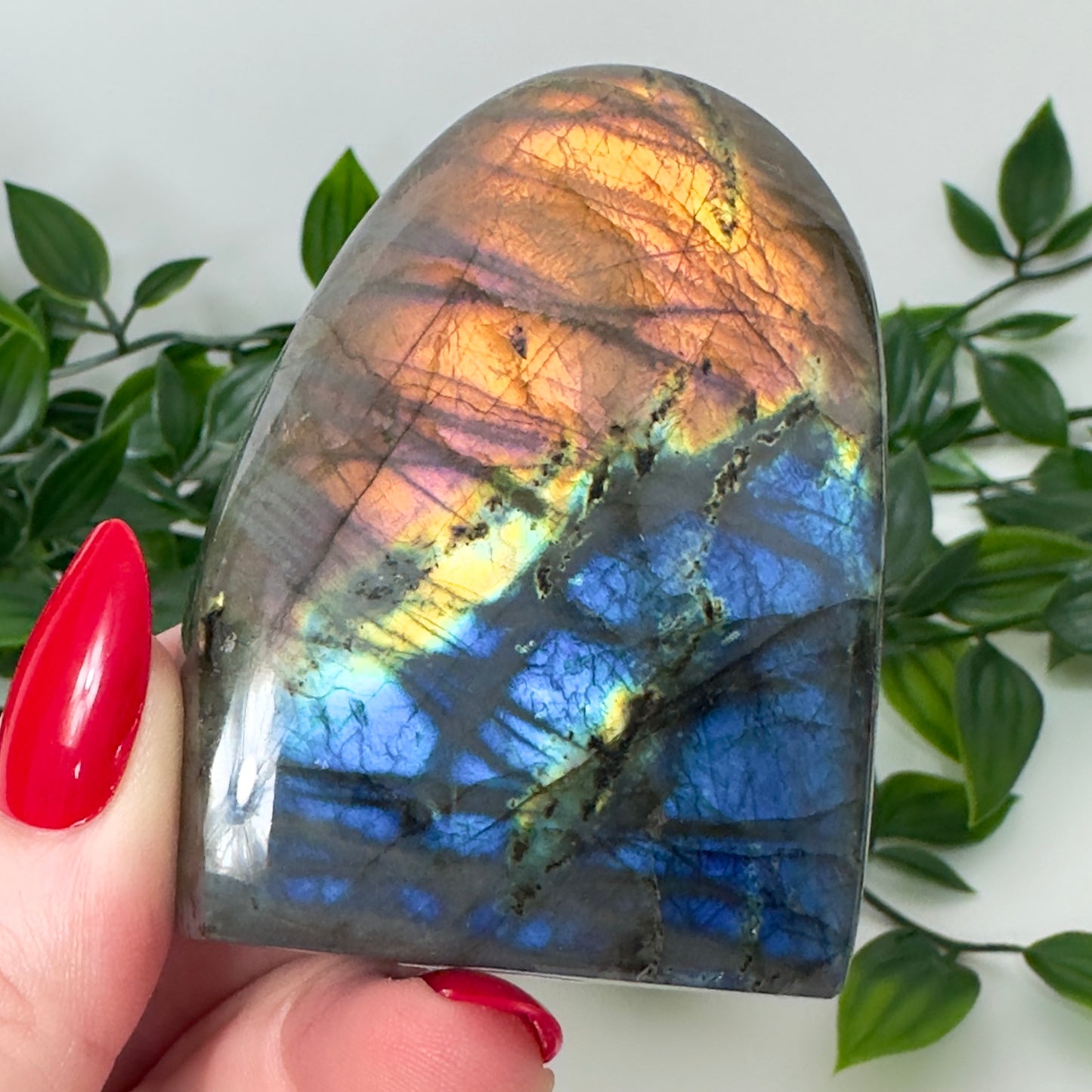 High Quality Labradorite Freeform #72