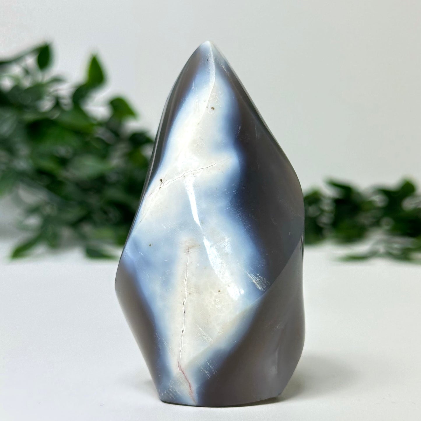 Orca Agate Flame #22