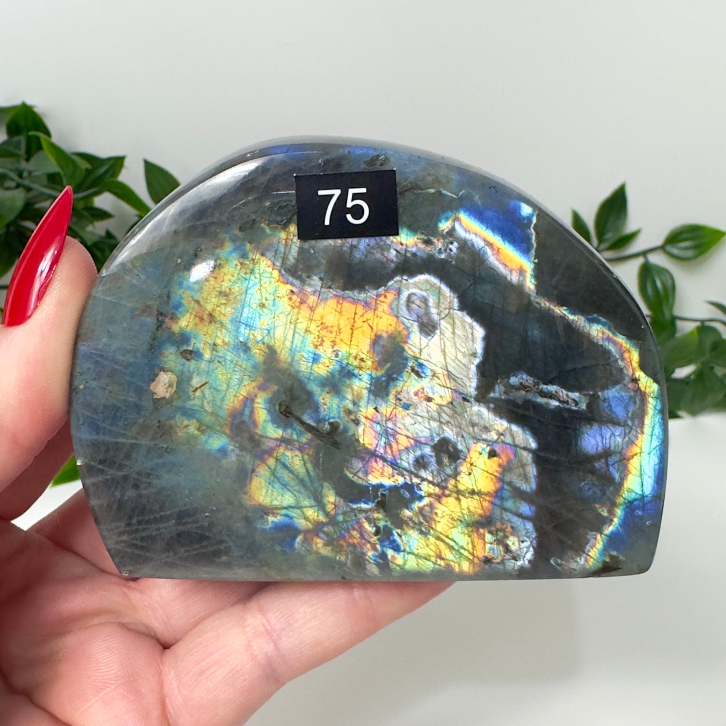 High Quality Labradorite Freeform #75