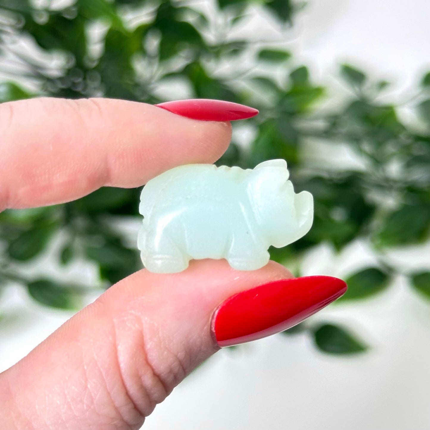 Caribbean Calcite Pigs