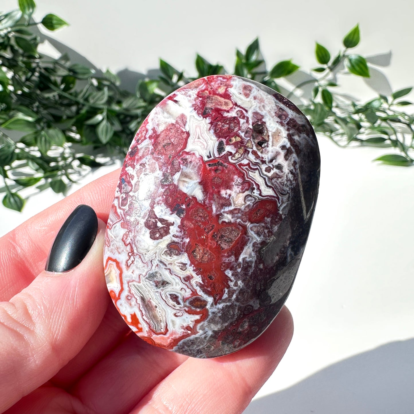 Mexican Agate Palm Stone A