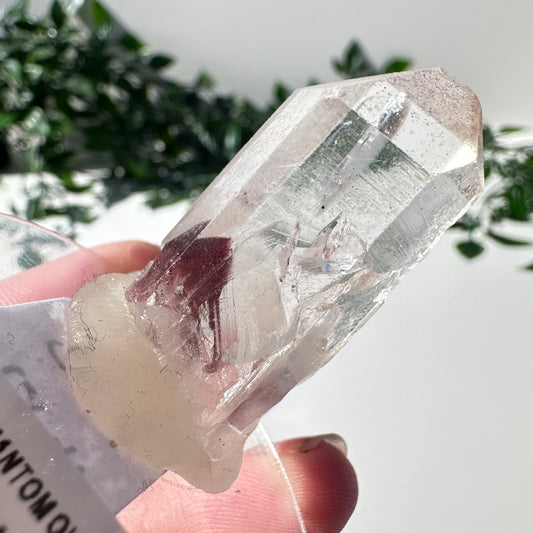 Sunset Phantom Quartz Point #17