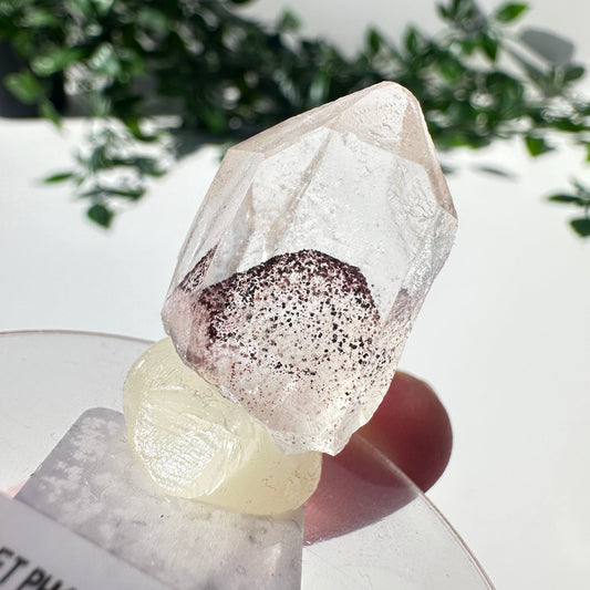 Sunset Phantom Quartz Point #9