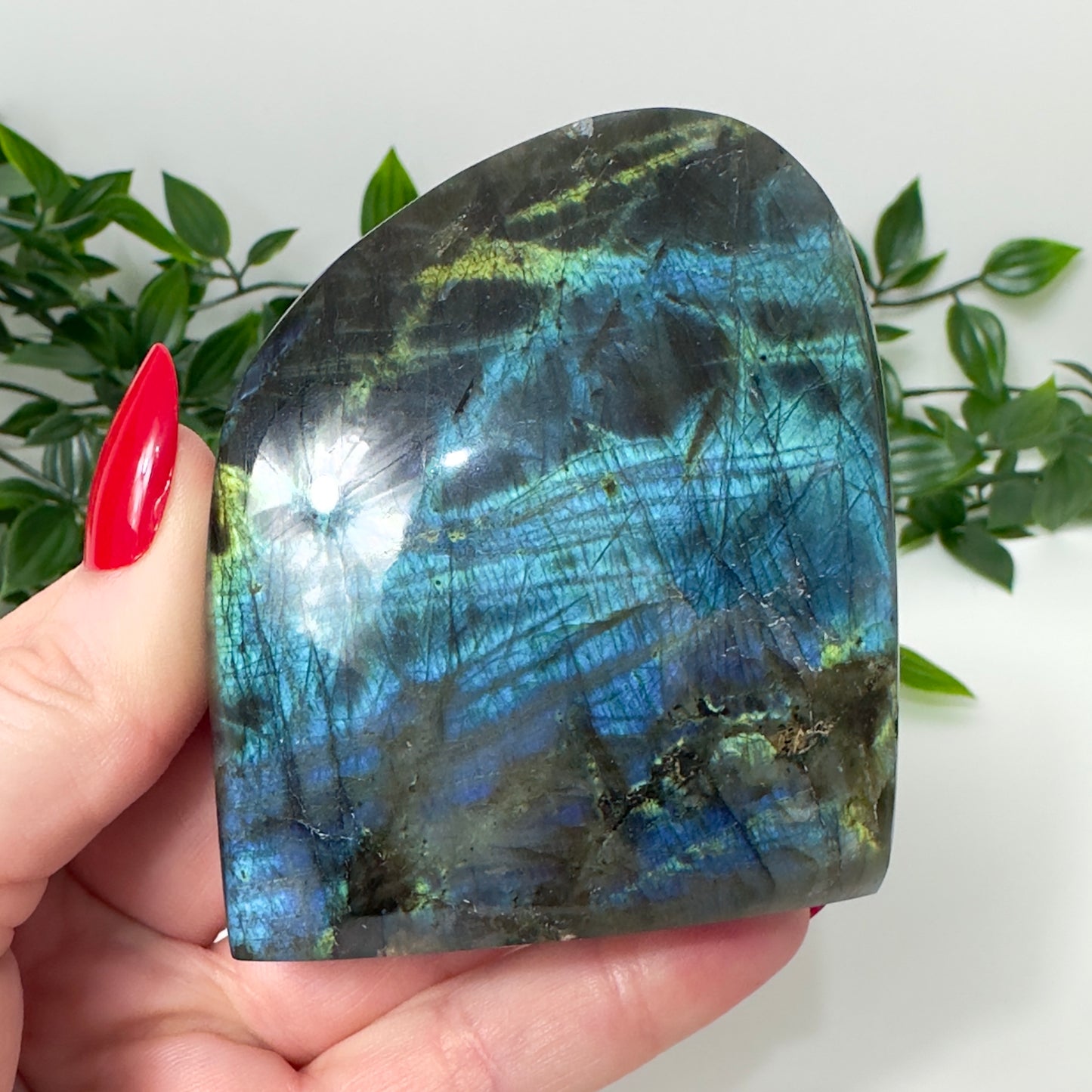 High Quality Labradorite Freeform #73
