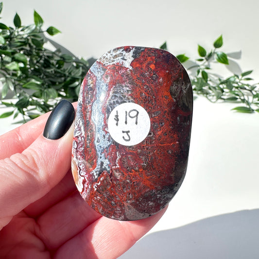 Mexican Agate Palm Stone J