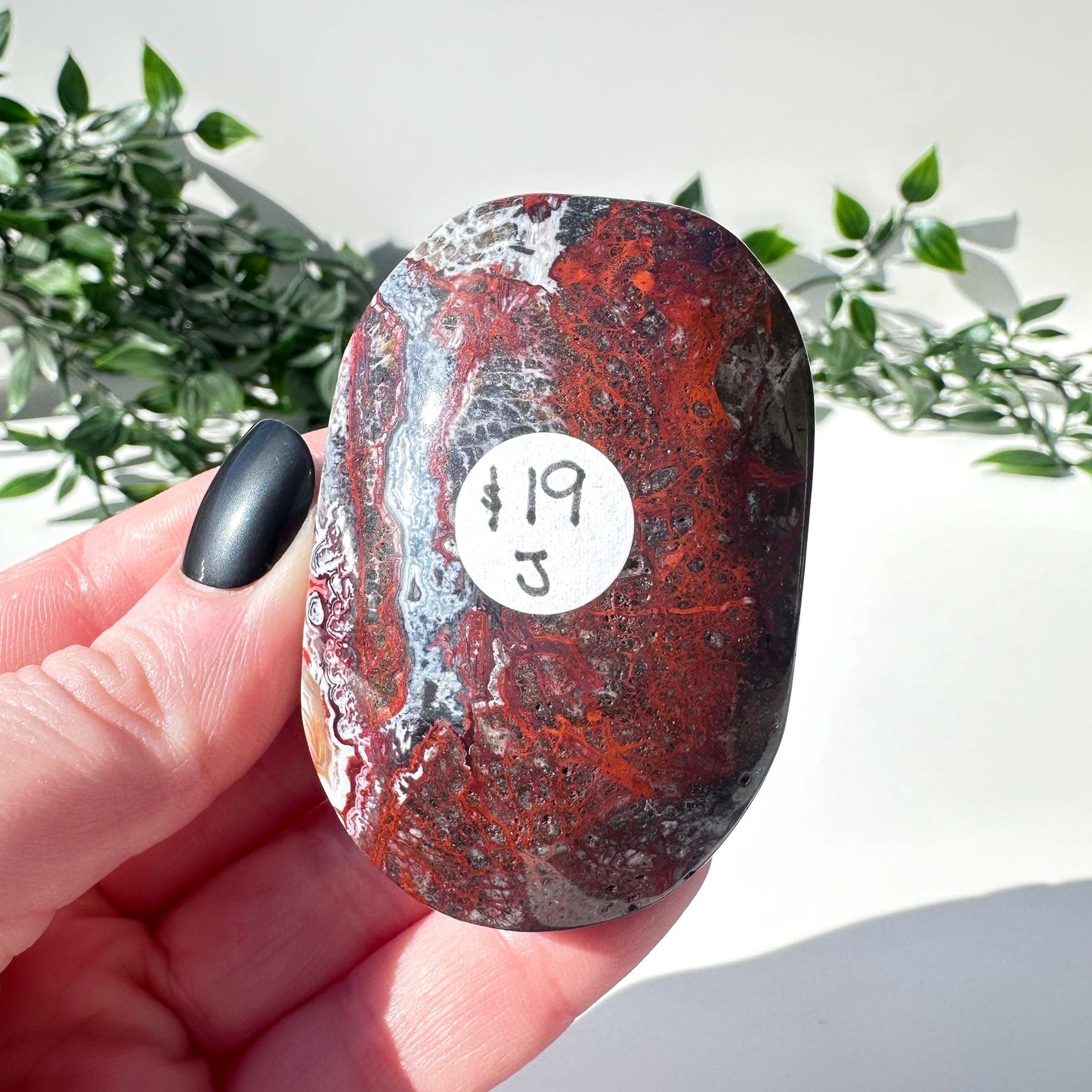 Mexican Agate Palm Stone J