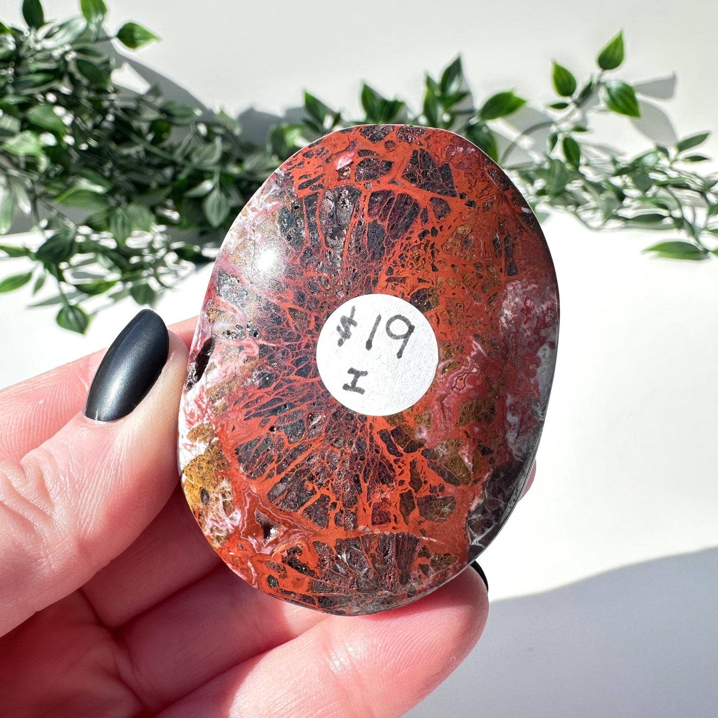 Mexican Agate Palm Stone I