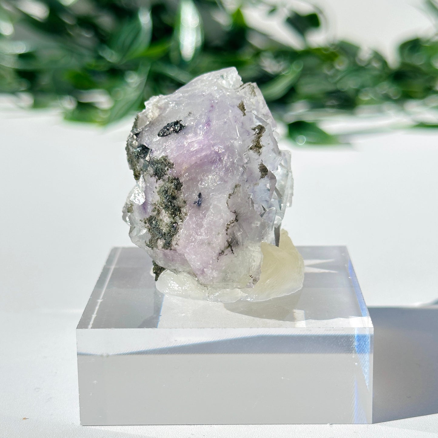 Fluorite - Yaogangxian Mine Y1
