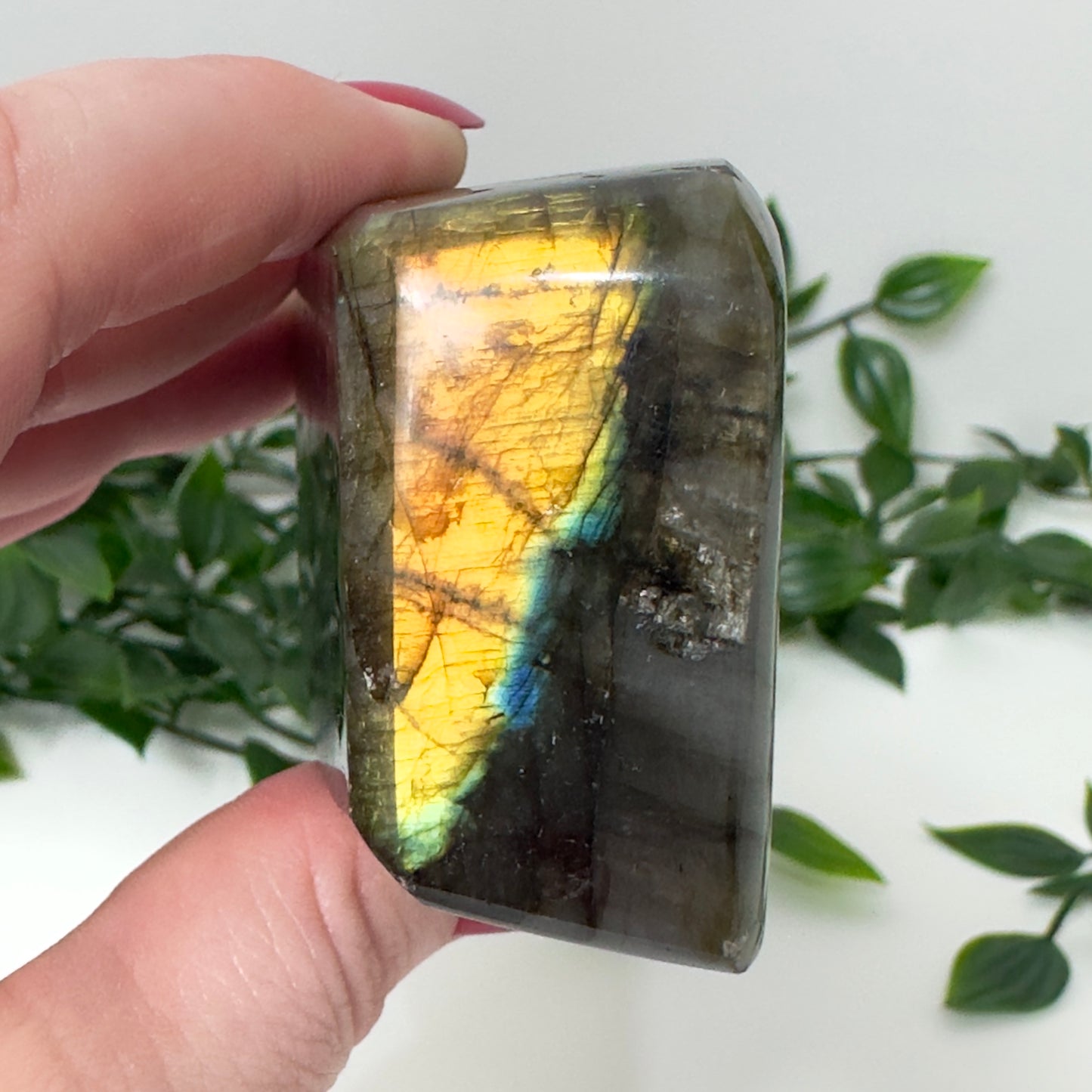 High Quality Labradorite Freeform #78