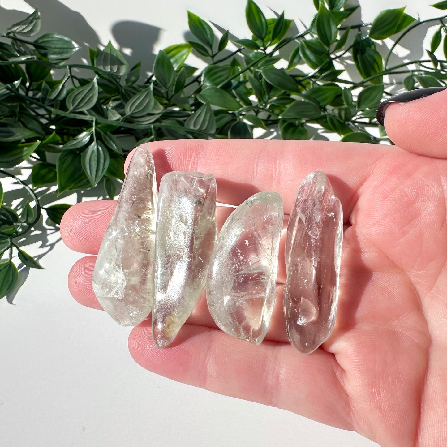 Green Amethyst (Prasiolite) Pieces XS