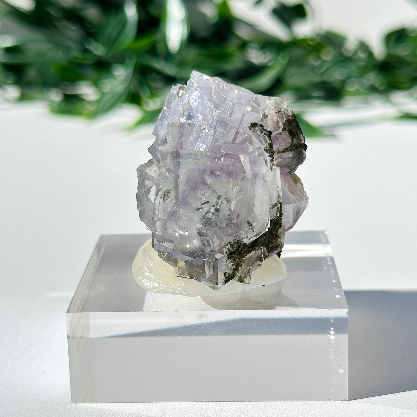 Fluorite - Yaogangxian Mine Y1