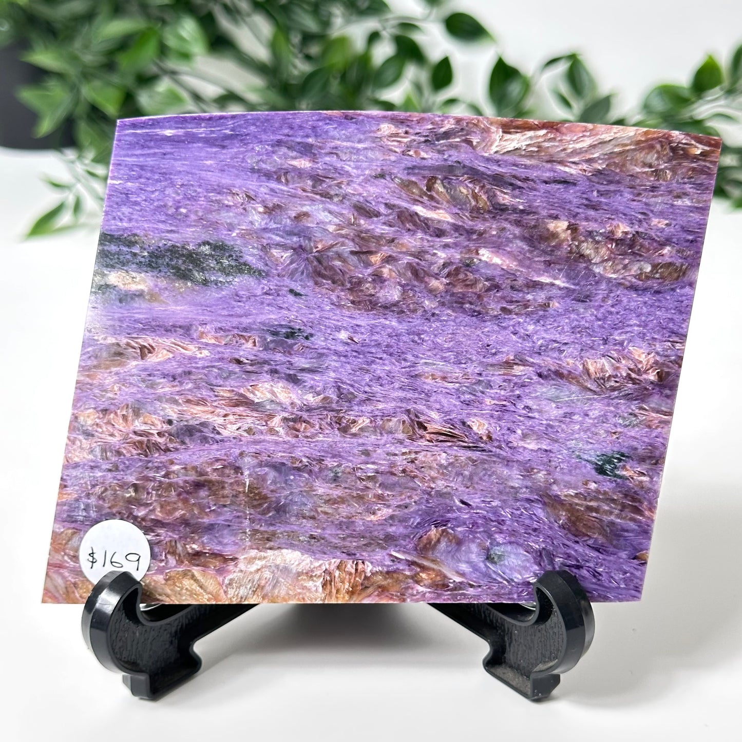 Charoite Slab with Stand #49