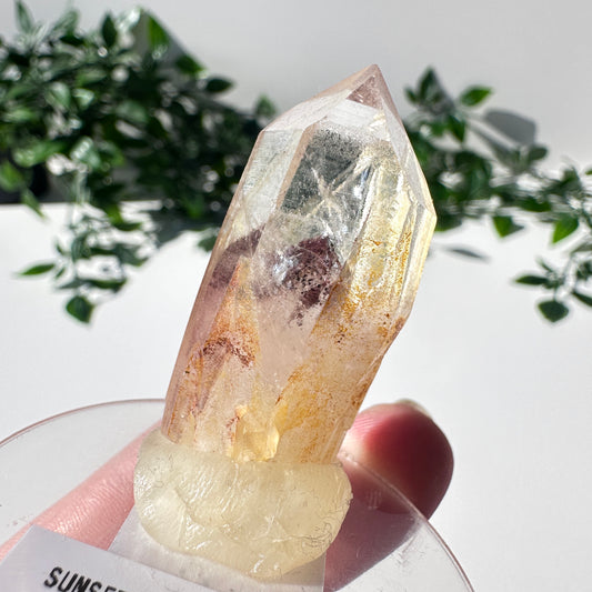 Sunset Phantom Quartz Point #16