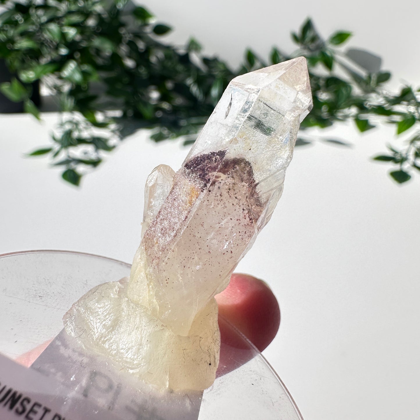 Sunset Phantom Quartz Point #19