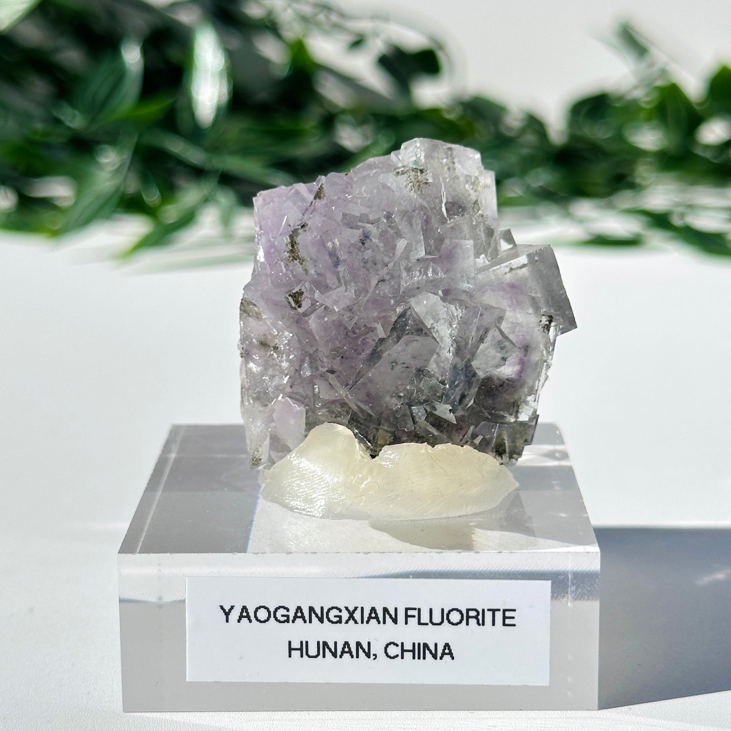 Fluorite - Yaogangxian Mine Y1