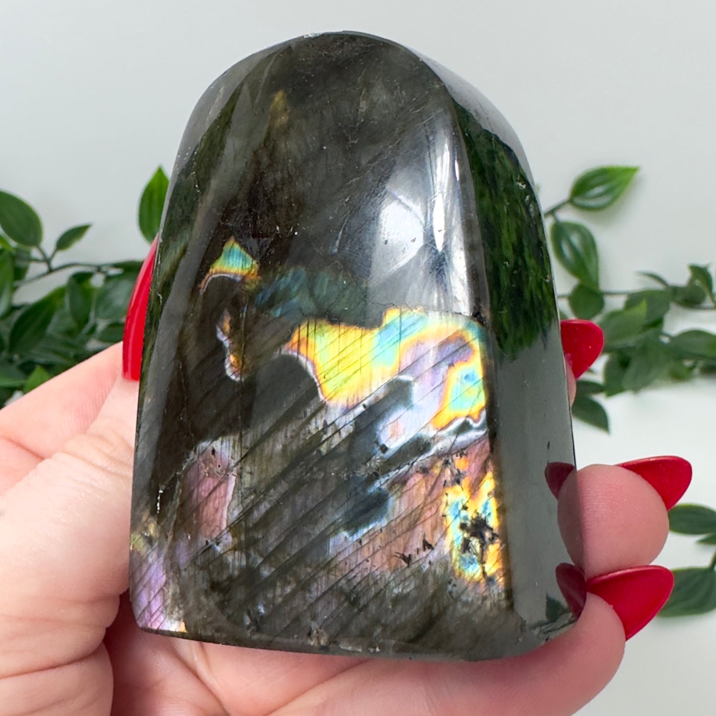 High Quality Labradorite Freeform #83