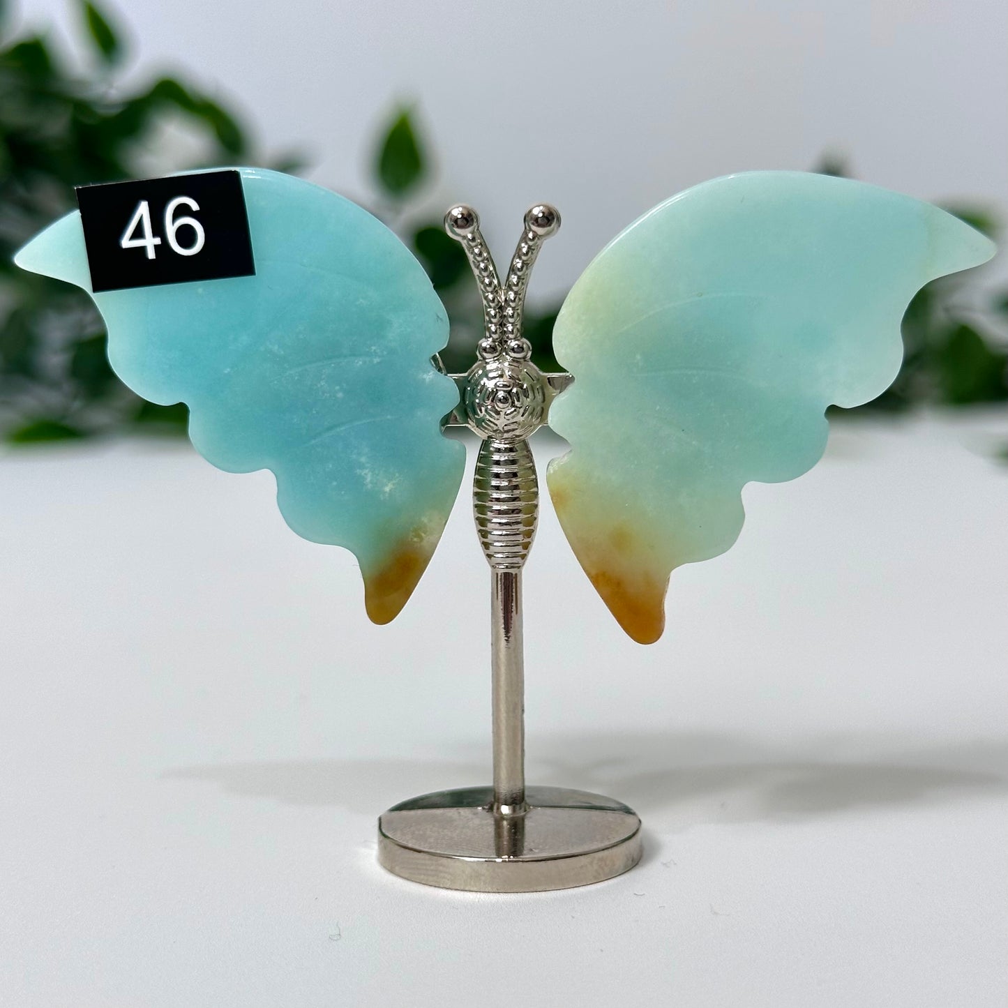 Caribbean Calcite Mini Butterfly Wings #46