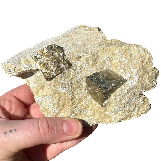 Spanish Pyrite in Matrix Specimen LRG