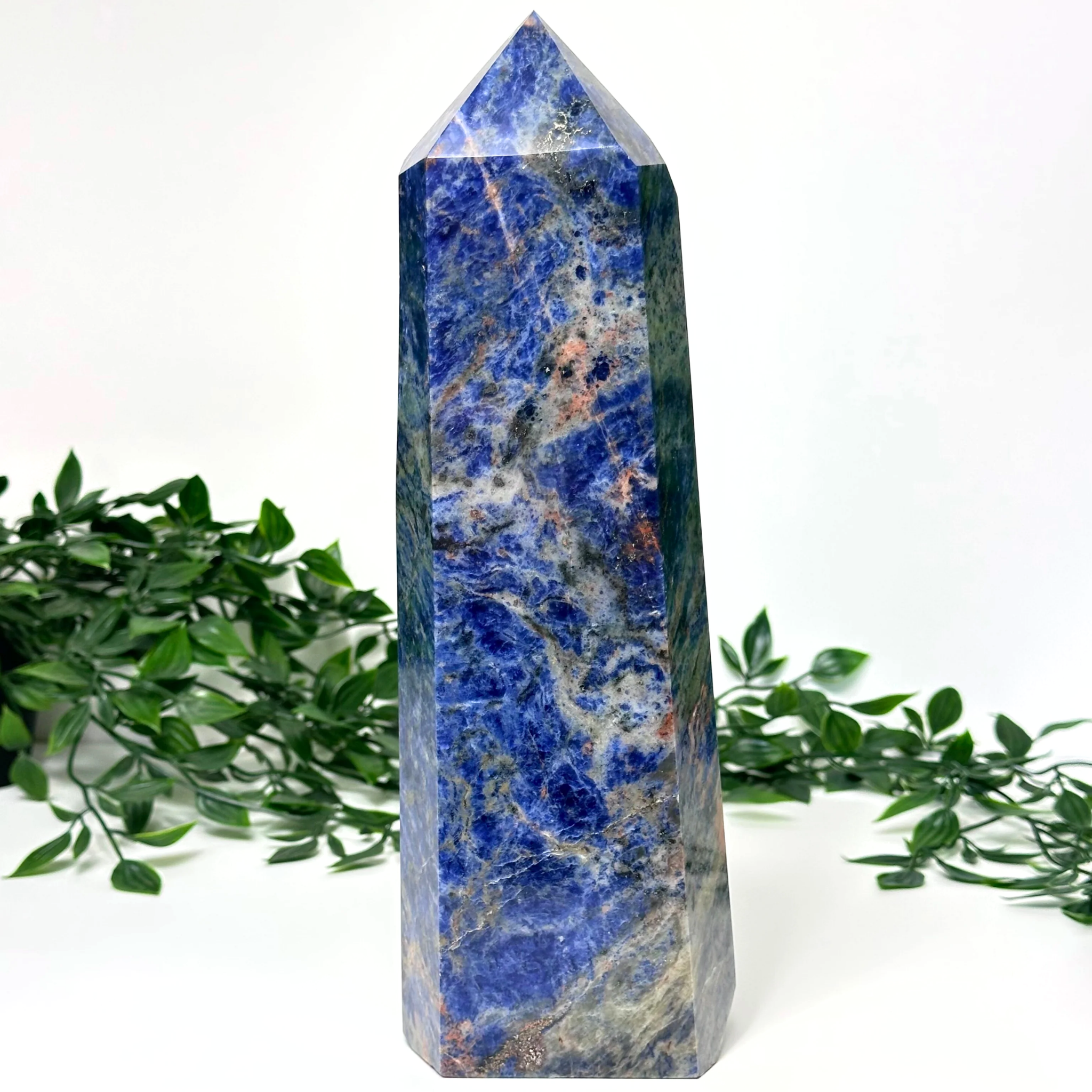 Large blue sodalite crystal tower on a white and leafy green background.
