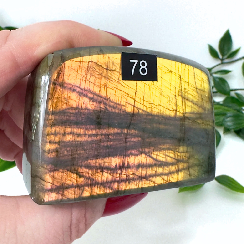 High Quality Labradorite Freeform #78
