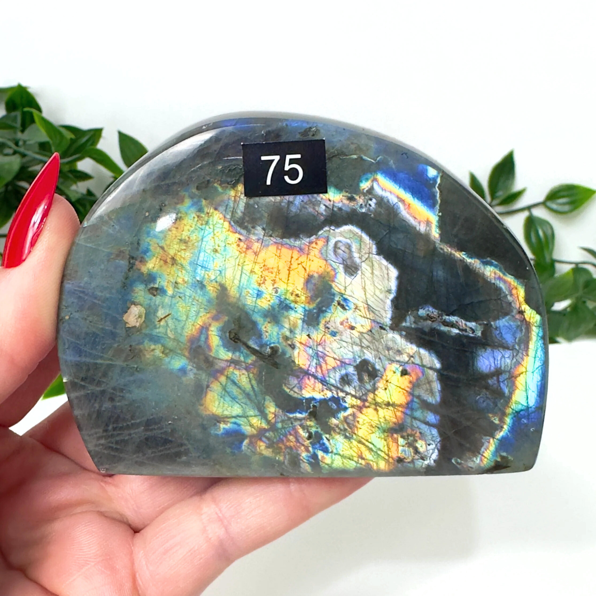 Multicolored labradorite stone held in a hand with a white background