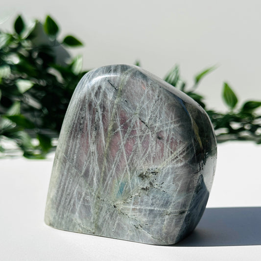 Purple Labradorite Freeform #54