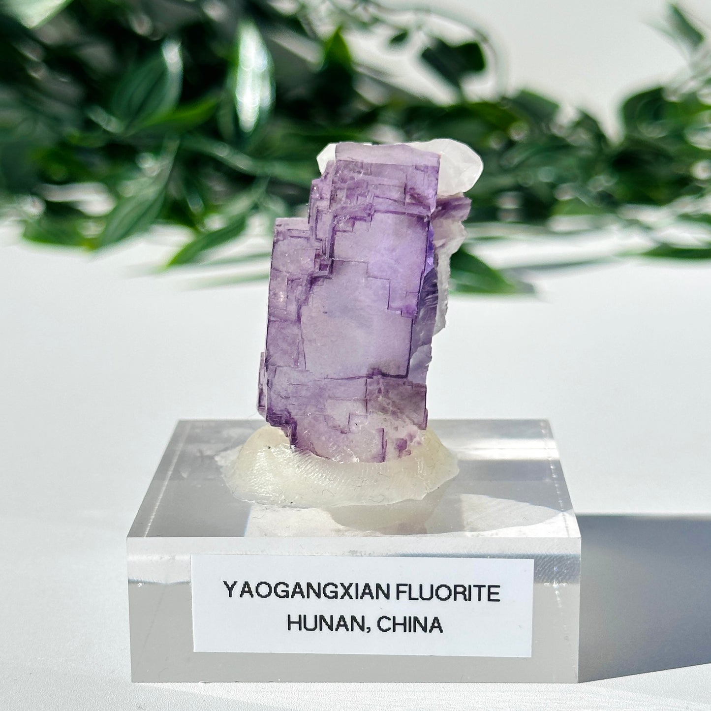 Fluorite - Yaogangxian Mine Y3
