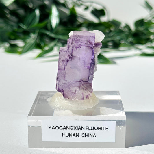 Fluorite - Yaogangxian Mine Y3