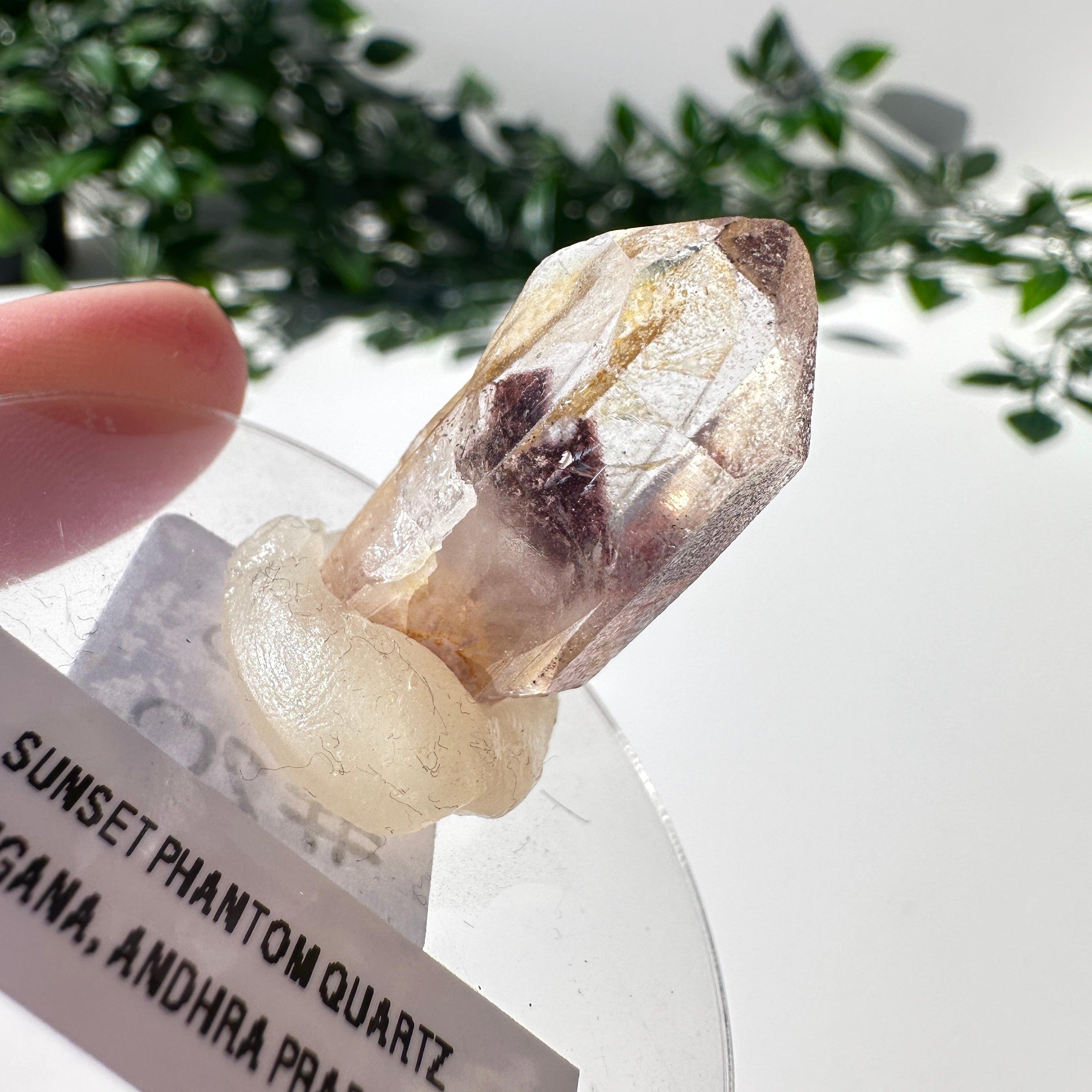 Sunset Phantom Quartz Point #20