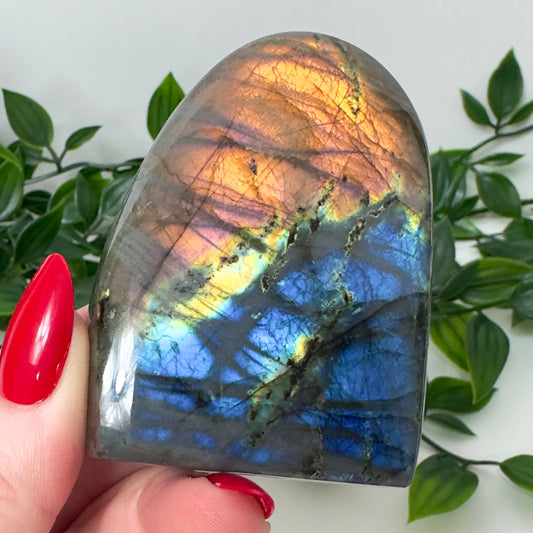 High Quality Labradorite Freeform #72