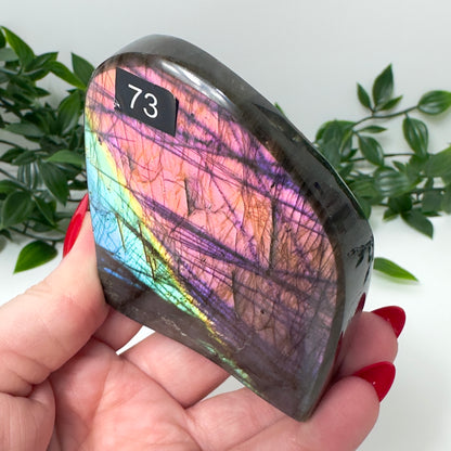 High Quality Labradorite Freeform #73