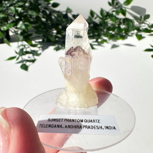 Sunset Phantom Quartz Point #19
