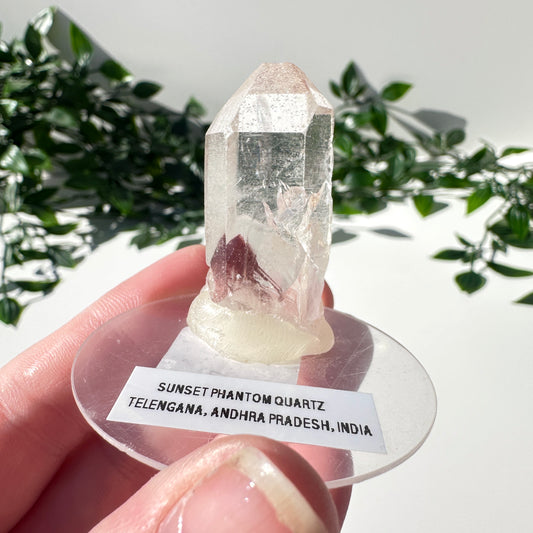 Sunset Phantom Quartz Point #17