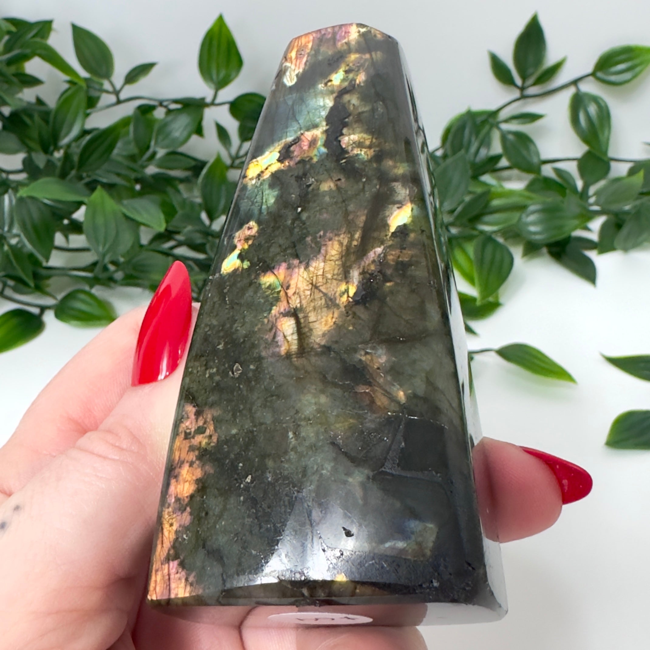 High Quality Labradorite Freeform #85