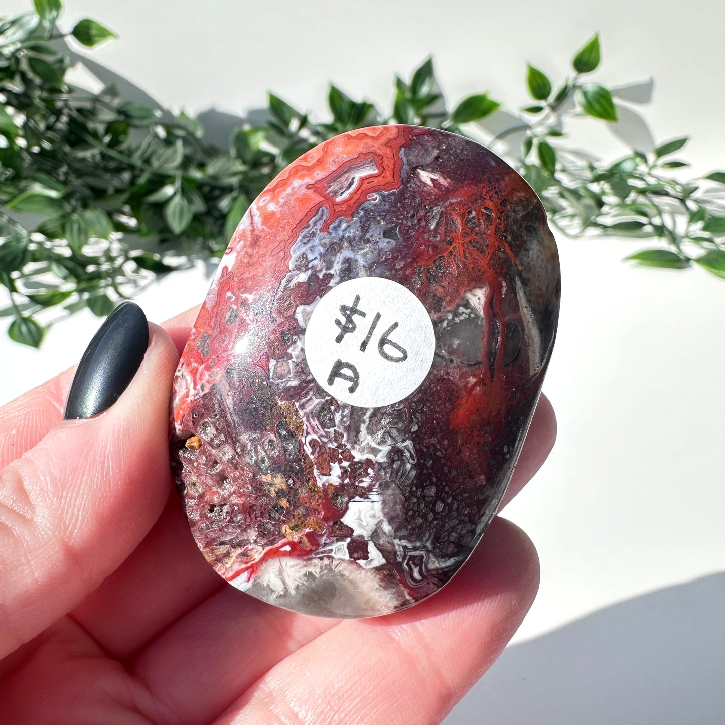 Mexican Agate Palm Stone A