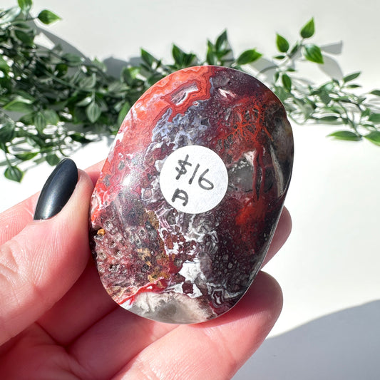 Mexican Agate Palm Stone A