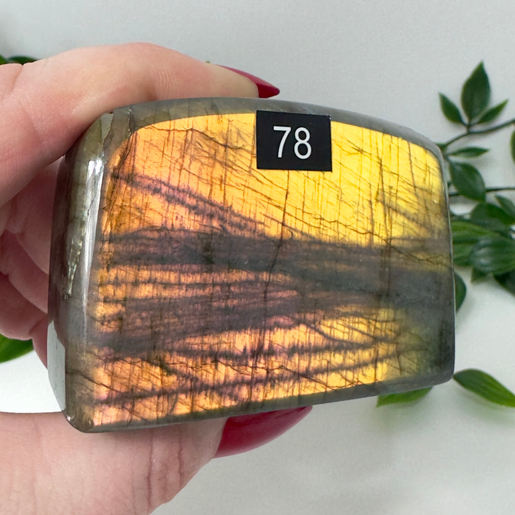 High Quality Labradorite Freeform #78