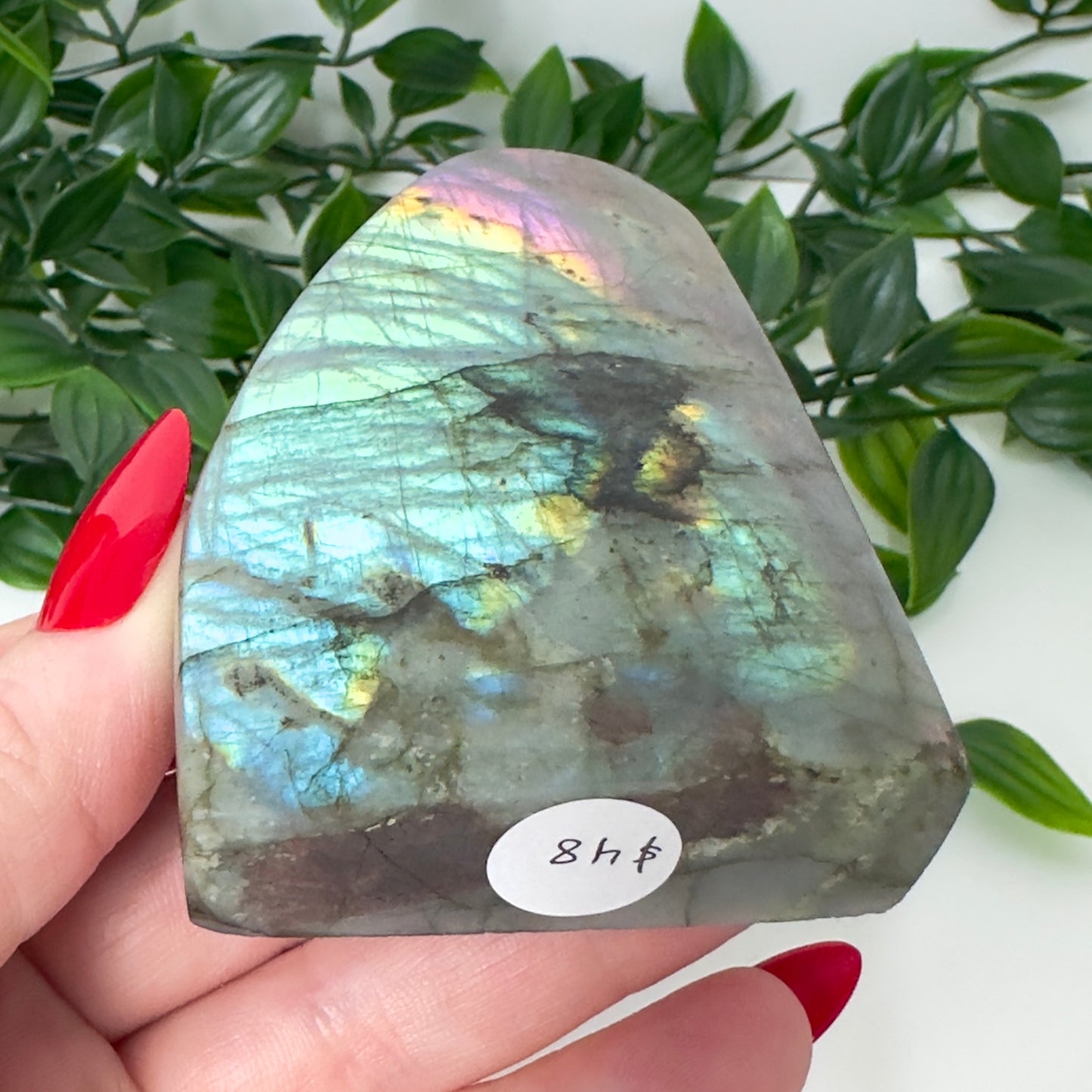 High Quality Labradorite Freeform #90