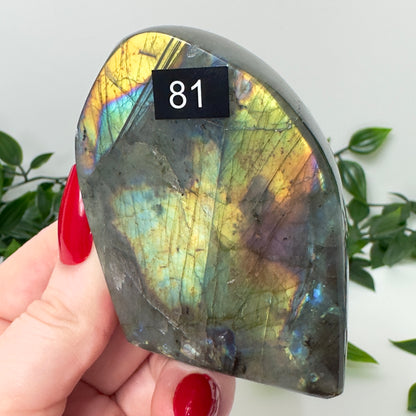 High Quality Labradorite Freeform #81