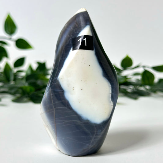 Orca Agate Flame #11