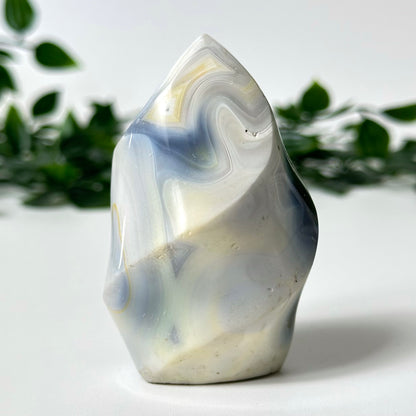 Orca Agate Flame #10