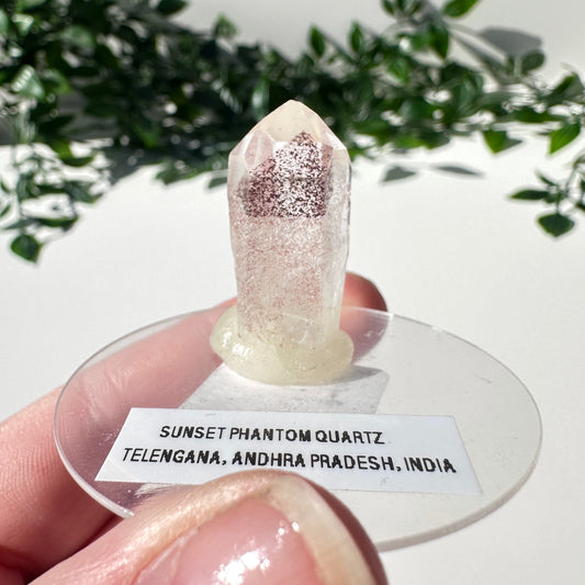 Sunset Phantom Quartz Point #6