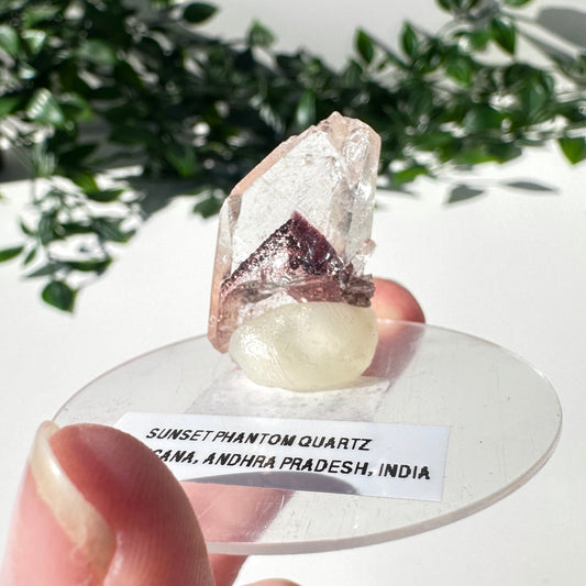 Sunset Phantom Quartz Point #14