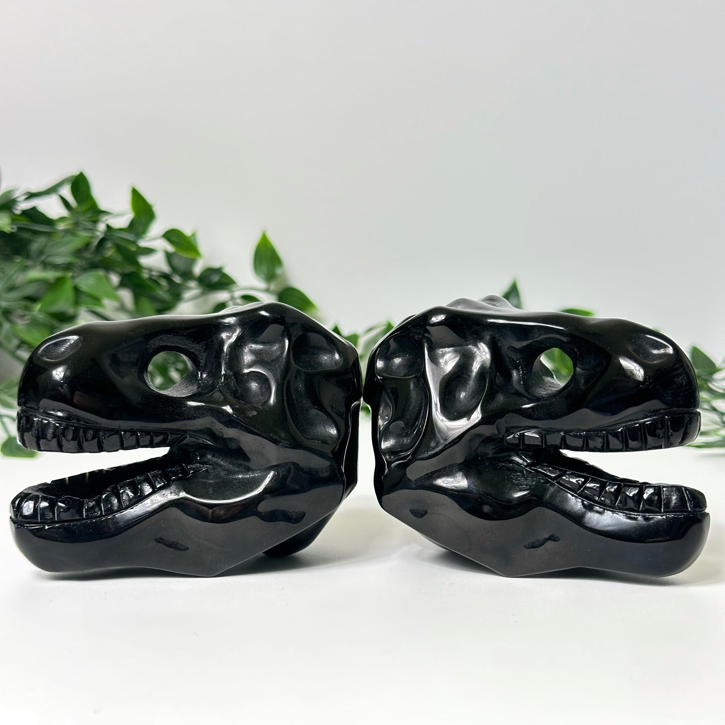 Obsidian T-Rex Skull