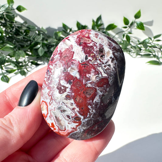 Mexican Agate Palm Stone A