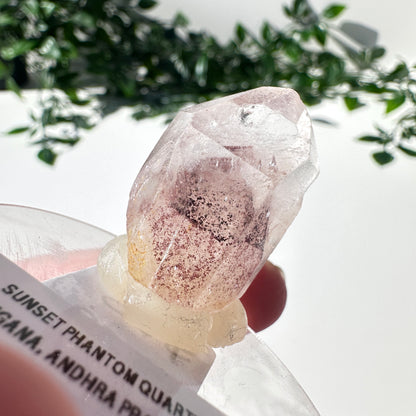 Sunset Phantom Quartz Point #22