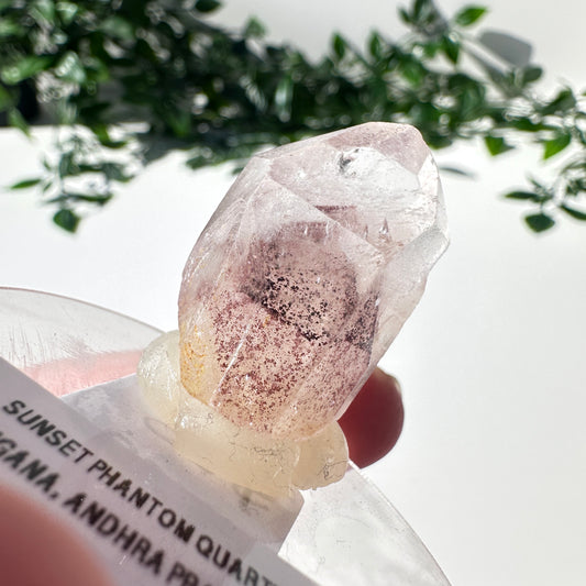 Sunset Phantom Quartz Point #22