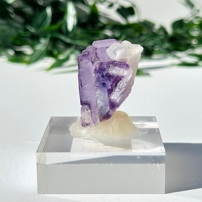 Fluorite - Yaogangxian Mine Y3