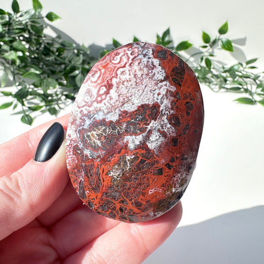 Mexican Agate Palm Stone I