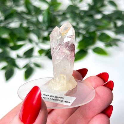 Sunset Phantom Quartz Point #15